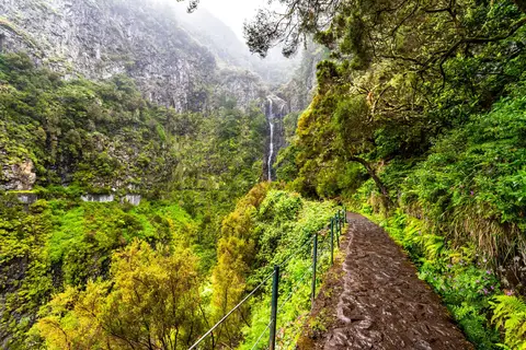 Mooi Madeira in Martingança Gare — foto 6