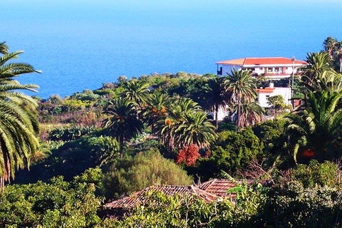 Appartementen Miranda foto 16