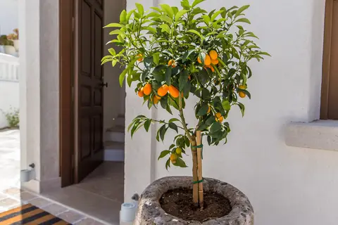Anagram Boutique Hotel in Mykonos, foto 23