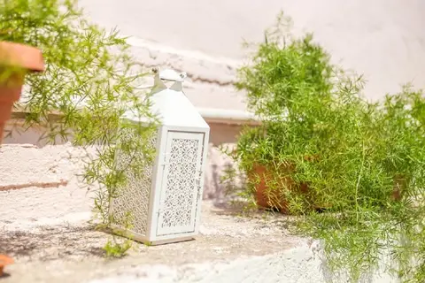Iatridis Studios in Faliraki — foto 6