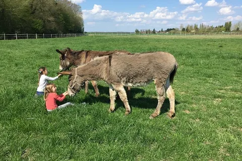 Camping Ferme Pédagogique De Prunay foto 8