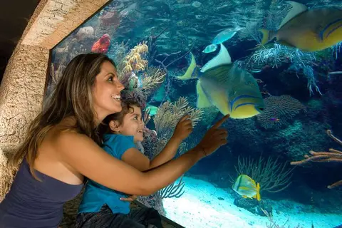 Occidental at Xcaret Destination in Playa del Carmen — foto 25