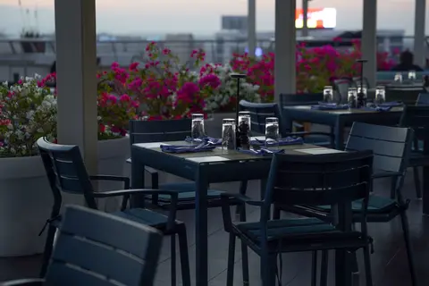 Golden Tulip Muscat in Muskaatdruif — foto 10