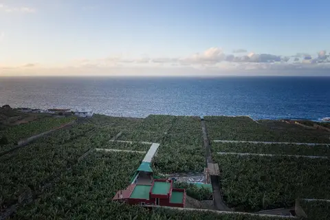 Hacienda La Dehesa in Buenavista del Norte — foto 16