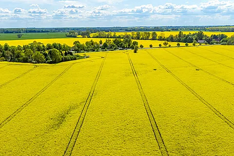 Prima Camping Resort Ostsee-boddenblick foto 10