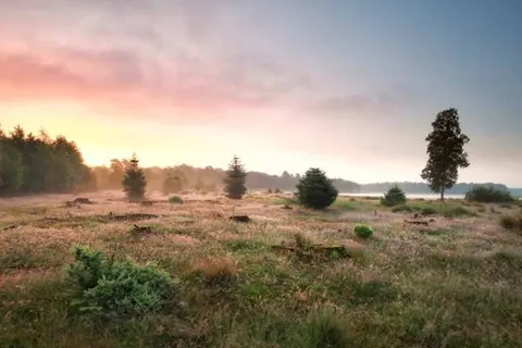 Hotel en Restaurant Wesseling foto 32