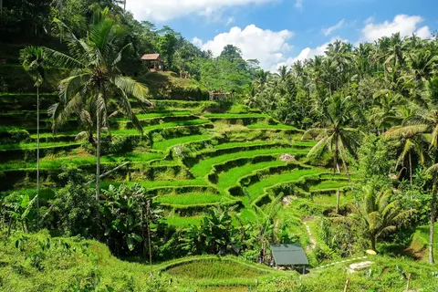 De verborgen schatten van Java en Bali foto 20
