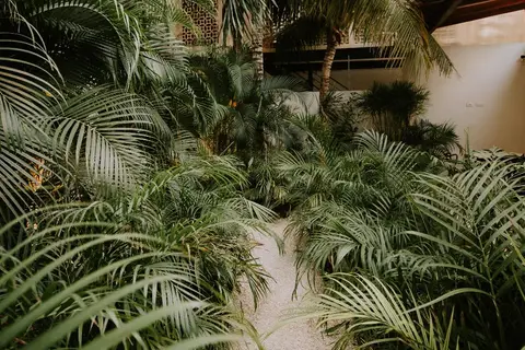 The Strabon in Cancún — foto 16