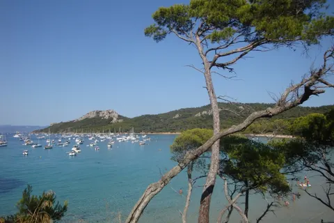 Camping La Presqu île St. Mandrier foto 14