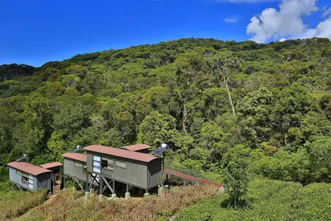 Rainforest Eco Lodge in Rainforest Ecolodge — foto 2