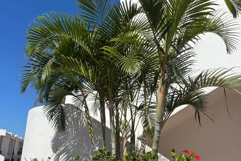 Hotel Malibu Park in Adeje — foto 12