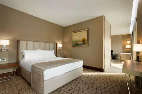 Ramada by Wyndham Sakarya in Ardanuç, foto 3