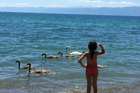 Mizo Hotel in Ohrid — foto 7