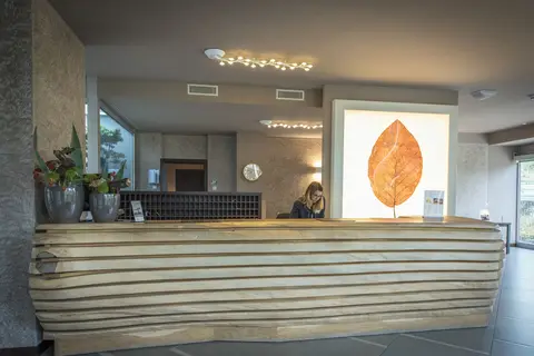 Aqualux Hotel Spa Suite & Terme Bardolino in Bardolino — foto 27