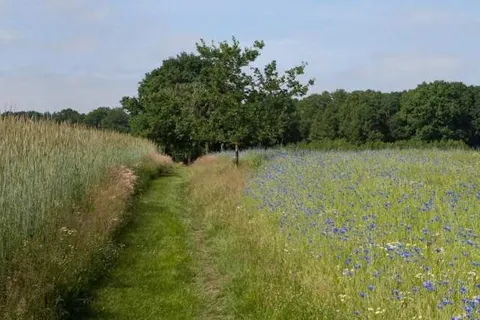 Bed and Breakfast Hoeve Springendal foto 23