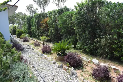 George Beach Studios & Villas in Πεύκοι — foto 11