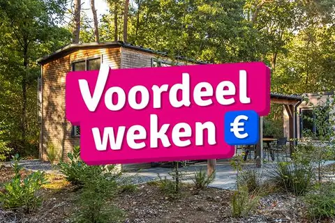 Vakantiepark De Wiltzangh in Ruinen