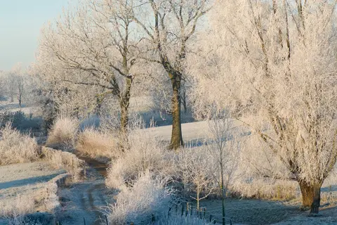 Kerst in Zuid-Limburg, Slenaken in Heijenrath — foto 15