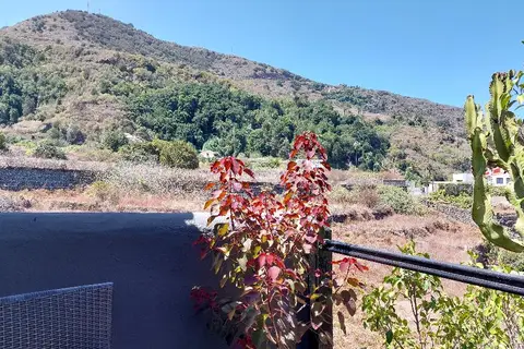 Apartamentos Monasterio de San Antonio in Puerto De La Cruz, foto 23