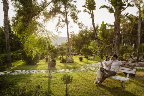 Domes Aulus Zante, Autograph Collection foto 20