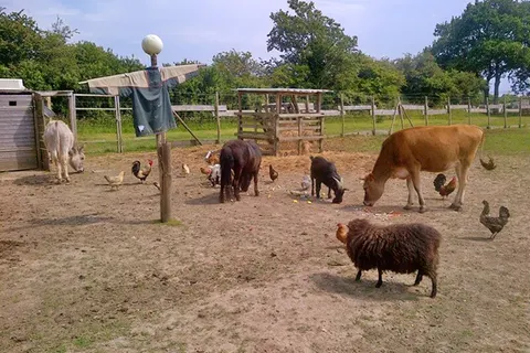 Camping Les Brillas foto 12