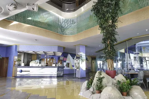Hotel Kaktus Albir in l'Alfàs del Pi — foto 8