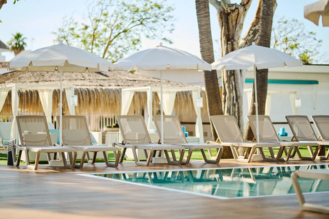 Alua Boccaccio foto 2