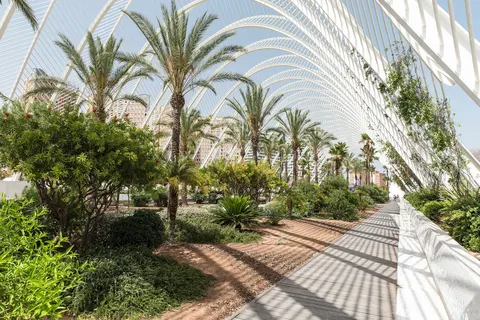 Hotel Barceló Valencia foto 15