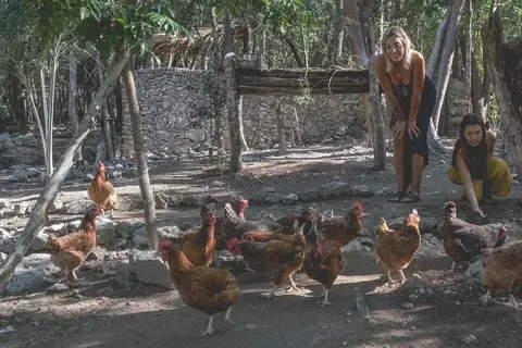 Wakax Hacienda in Manuel Antonio Ay — foto 19