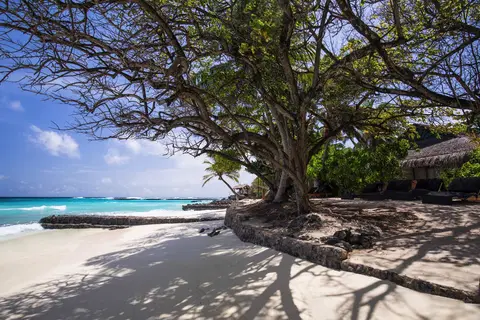 Taj Coral Reef Resort & Spa, Maldives in Nooraanee Shop 2 — foto 3