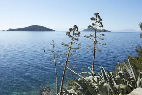 Skiathos Palace in Δήμος Σκιάθου — foto 30
