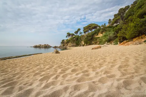htop Platja Park in Platja d'Aro — foto 24