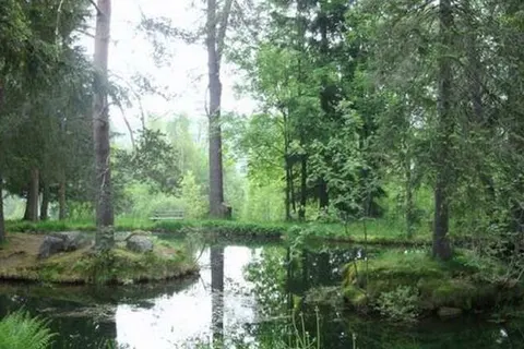 Hotel Diana Feldberg foto 21