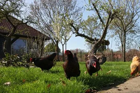 Hotel Hof van &ampapos;s Gravenmoer foto 13