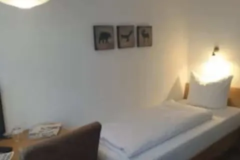 Landgasthof Grüner Baum foto 13