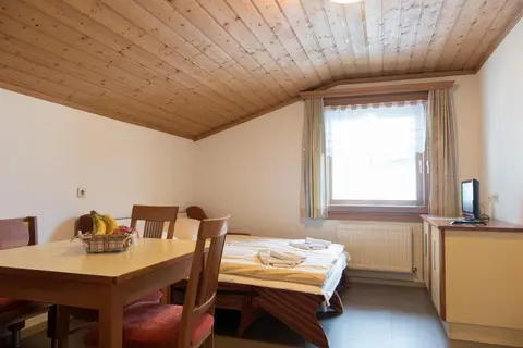 Appartementen Seilergasse in Zell am See — foto 7