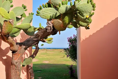 Vakantiepark Pinea Mare in Poggio-Mezzana — foto 25