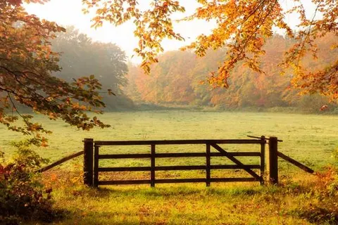 Hotel Café Restaurant De Gouden Karper foto 29