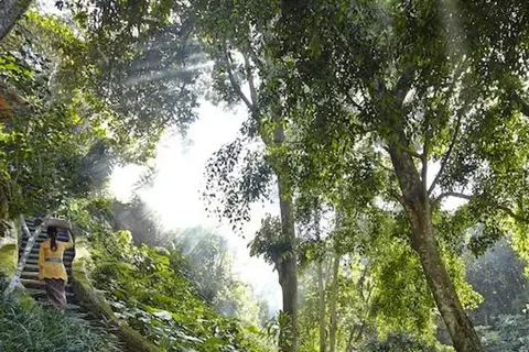 Tjampuhan Hotel Bali in Ubud, Kecamatan Gianyar, Kabupaten Gianyar, Bali, Indonesia — foto 6