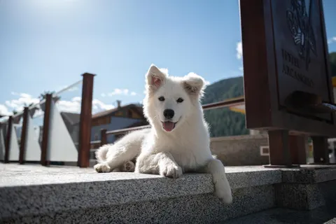 Resort Hotel Arcangelo Pellizano foto 6