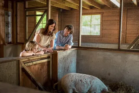 Center Parcs Limburgse Peel foto 10