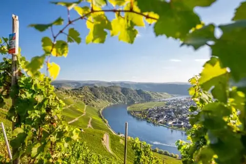 Haus Moselliebe in Ediger-Eller — foto 12