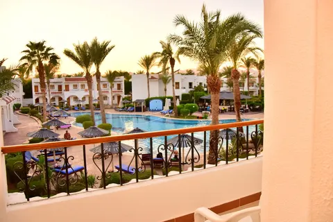 Dive Inn in Sharm El Sheikh — foto 12
