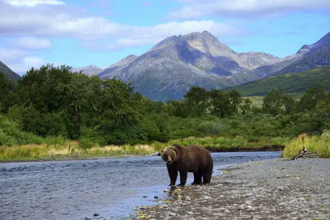 Cruise Alaska & Hawai - Gletsjers en Vulkanen in Cruisereizen