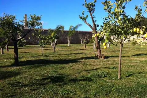 Villa Lampedusa Hotel & Residence in Palermo — foto 8