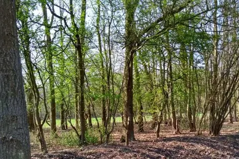 Fewo Oostkapelle foto 17