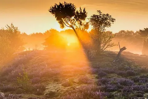 De Oringer Marke & Stee Hotels by Flow foto 23