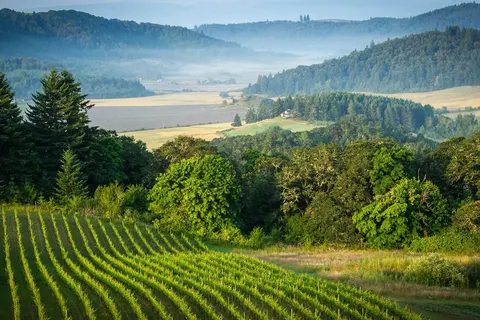 Oregon op het gemak foto 23