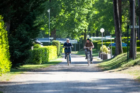 Camping Roland foto 32