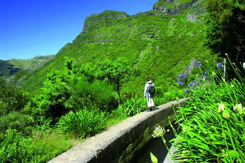 Fly & Drive Kleurrijk Madeira in Rondreizen Madeira — foto 2